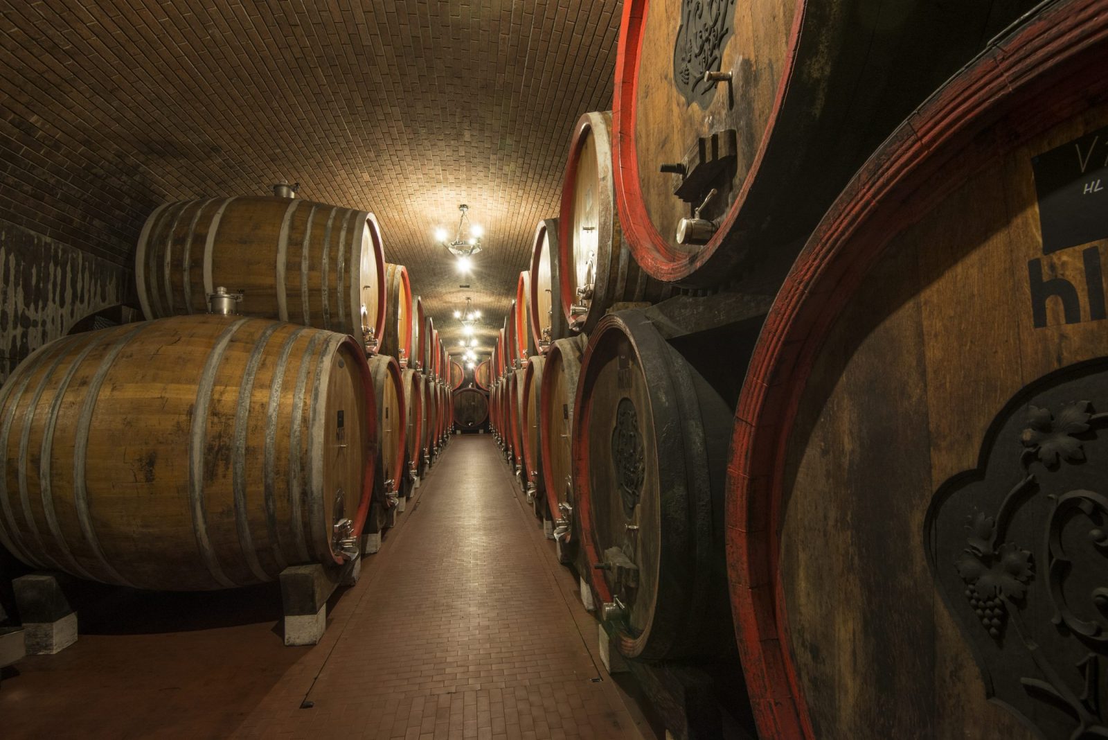 Fasskeller vom Weingut Tommasi