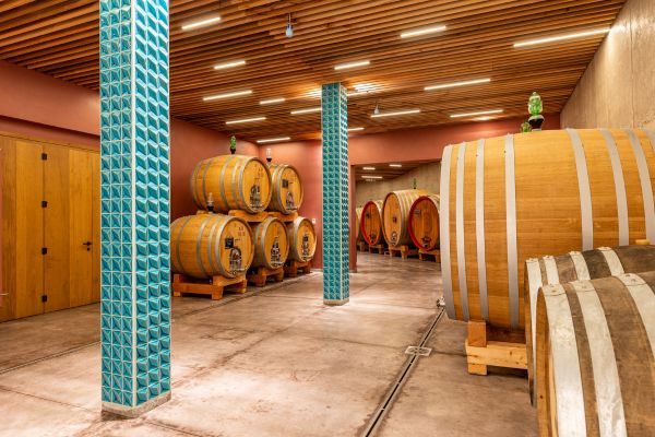 Holzfasskeller am Weingut Salicutti